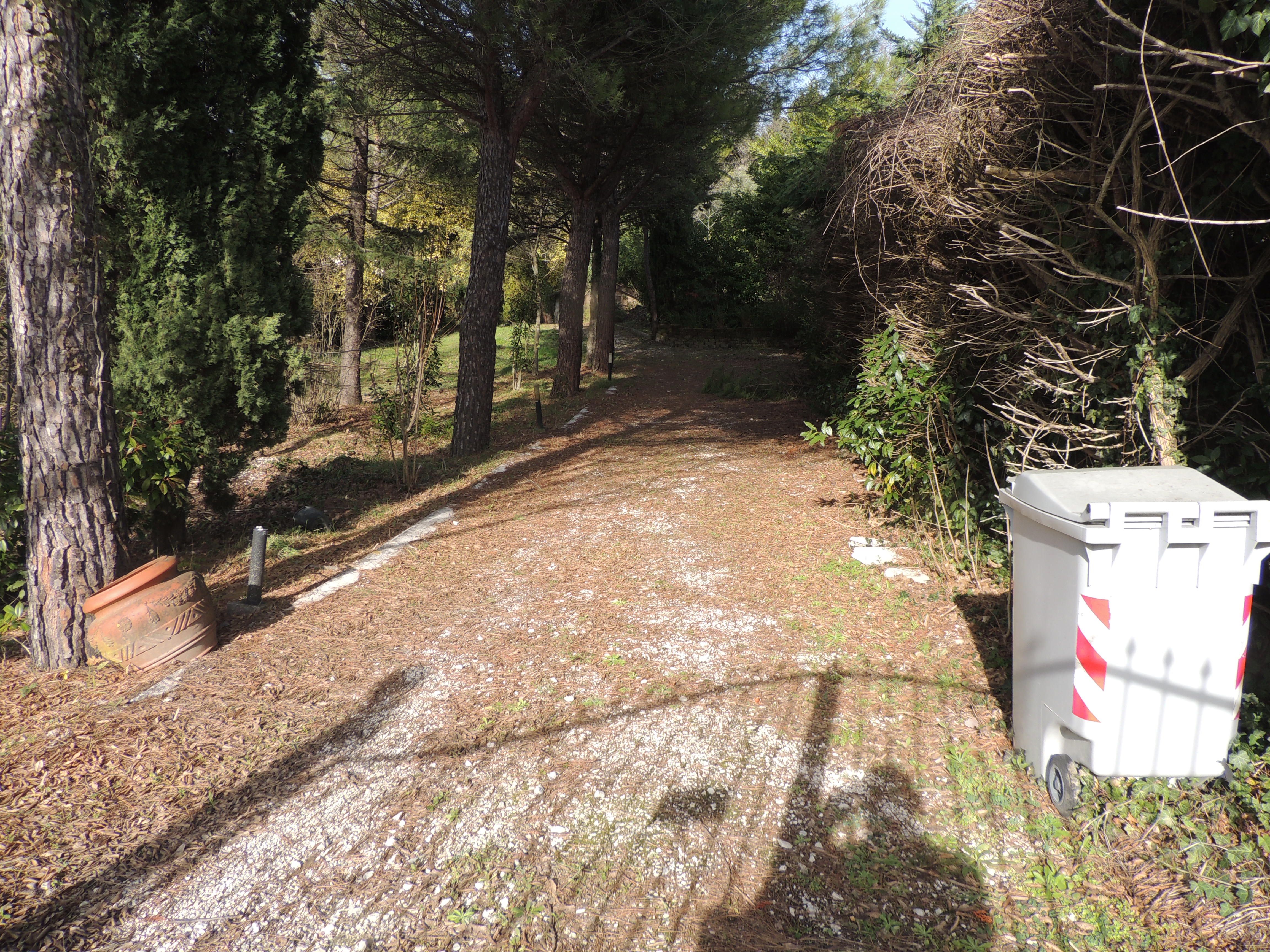 Vendesi villa immersa nel verde - immagine 3