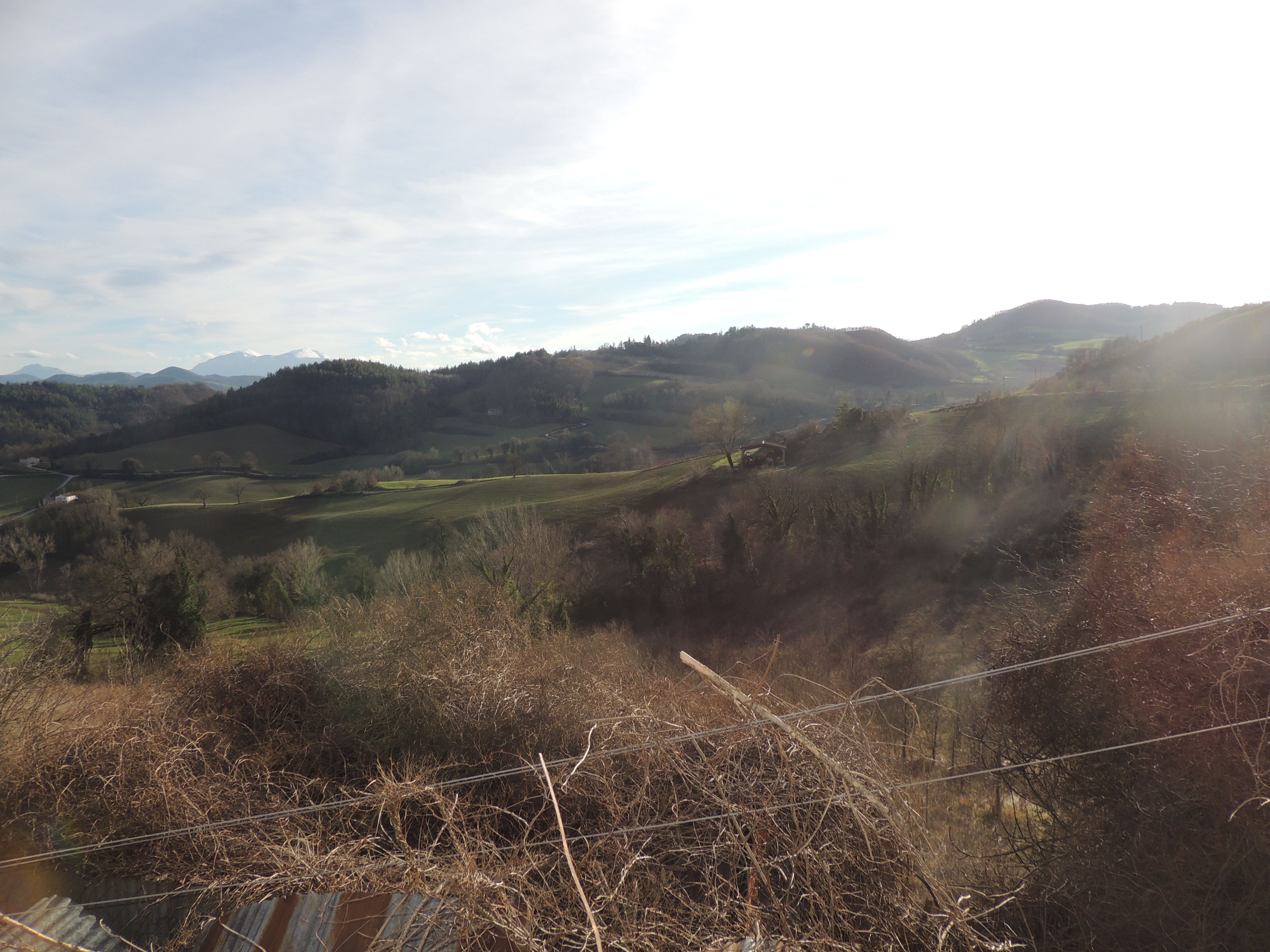 Casa indipendente in campagna - immagine 2