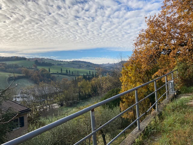 Vendesi a 3 Km dal centro storico di Urbino terreno edificabile già urbanizzato